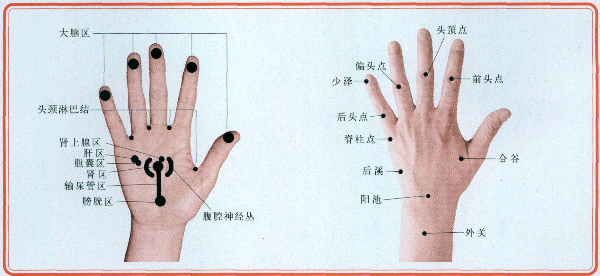 十四、頭痛